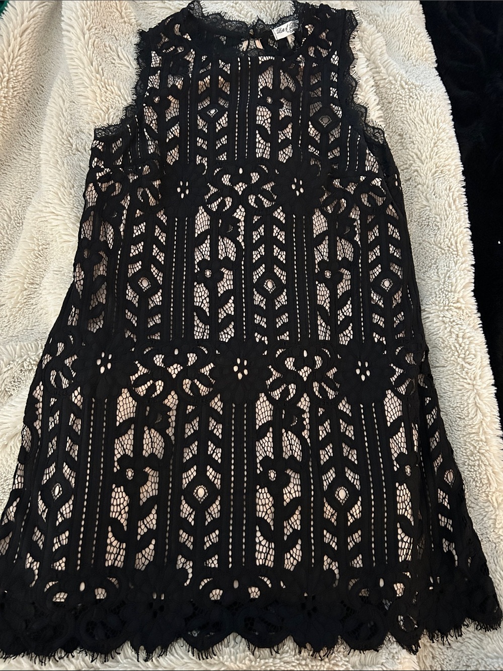 Black Lace Sleeveless Shift Dress - Elegant Evening Wear